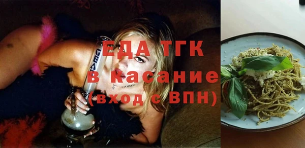 МДПВ Бородино