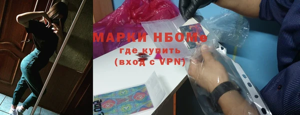 МДПВ Бородино