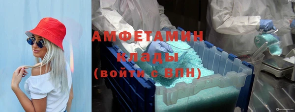 МДПВ Бородино