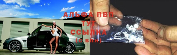 МДПВ Бородино