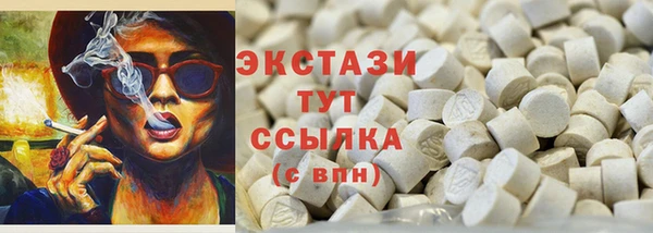 МДПВ Бородино