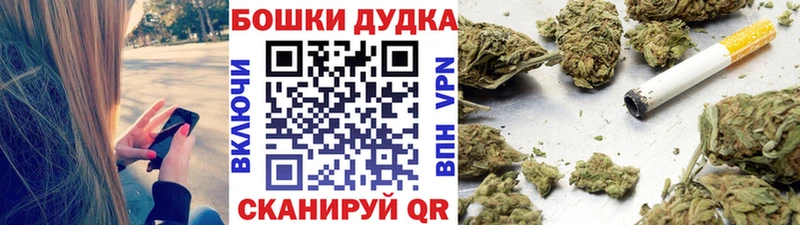 Шишки марихуана план  mega сайт  Луза  сколько стоит 